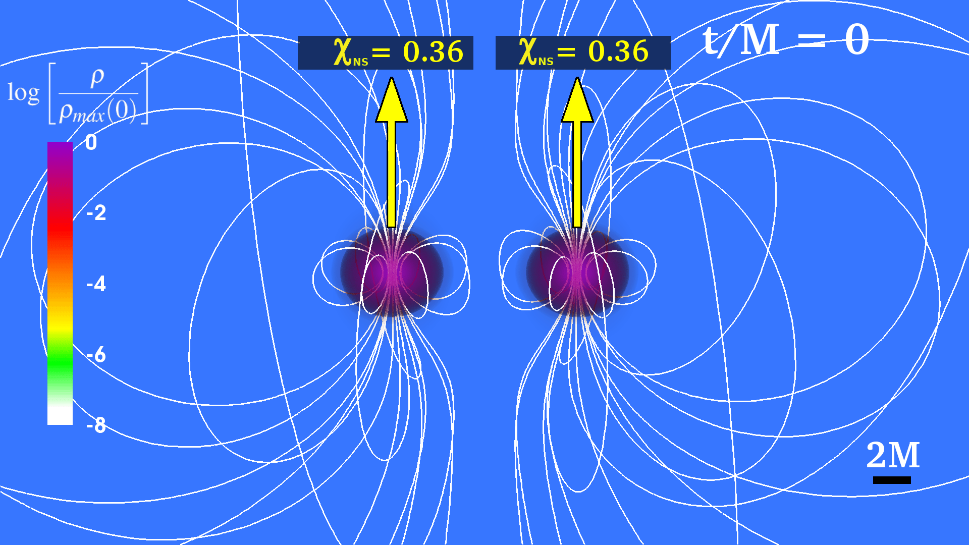 MagnetizedSpinningNSNS